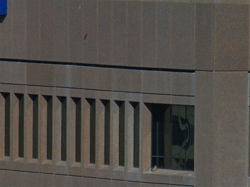 This picture has been zoomed out a bit so that you can see just how far up and away the wind has carried the piece of paper. Note the paper and its shadow near the top center of the photograph. The hawk is on the ledge in the lower right-hand corner of the picture.
