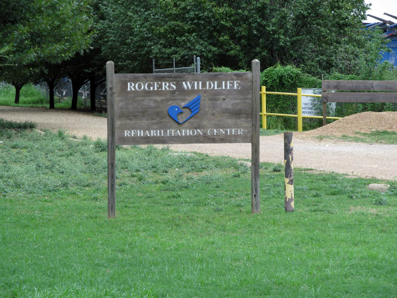 Journal - Rogers Wildlife Rehabilitation Center - DFW ...
