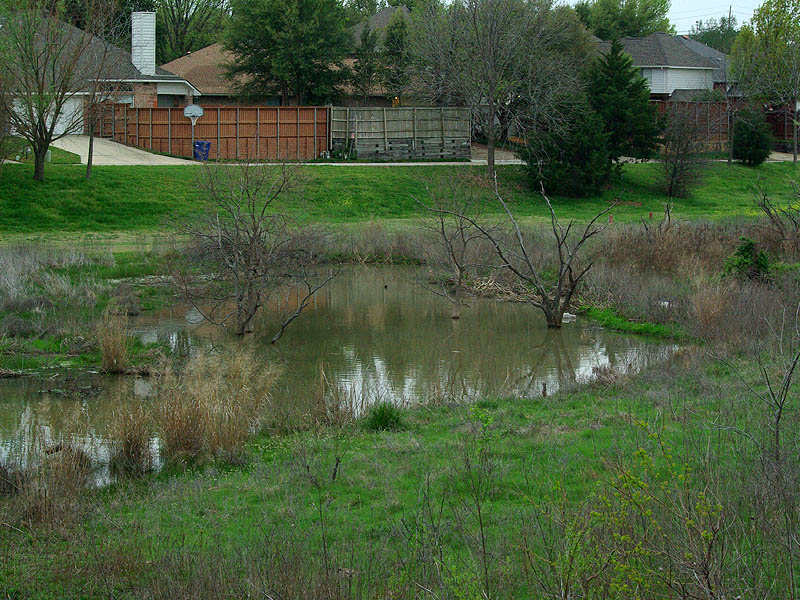 This is how the pond looked last March.
