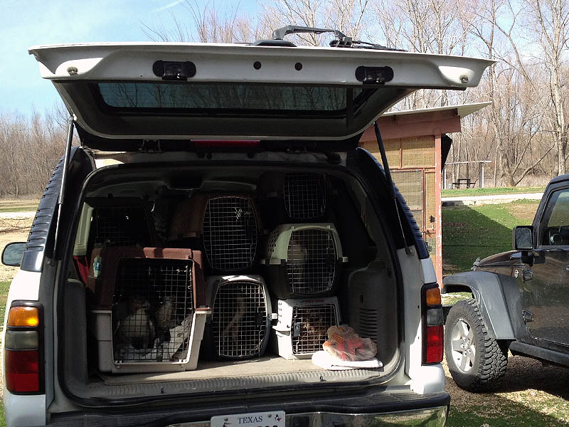 Loaded up with Raptors at the Rogers Wildlife Rehabilitation Center.