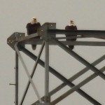Bald Eagle – Tower Nest Update 13