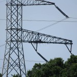 Bald Eagle - Tower Nest Update 15