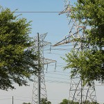 Red-tailed Hawk - Transmission Tower