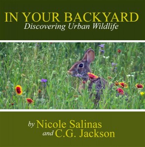 In Your Backyard: Discovering Urban Wildlife by Nicole Salinas and C.G. Jackson
