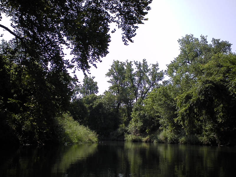 Journal - Kayaks on the Elm Fork