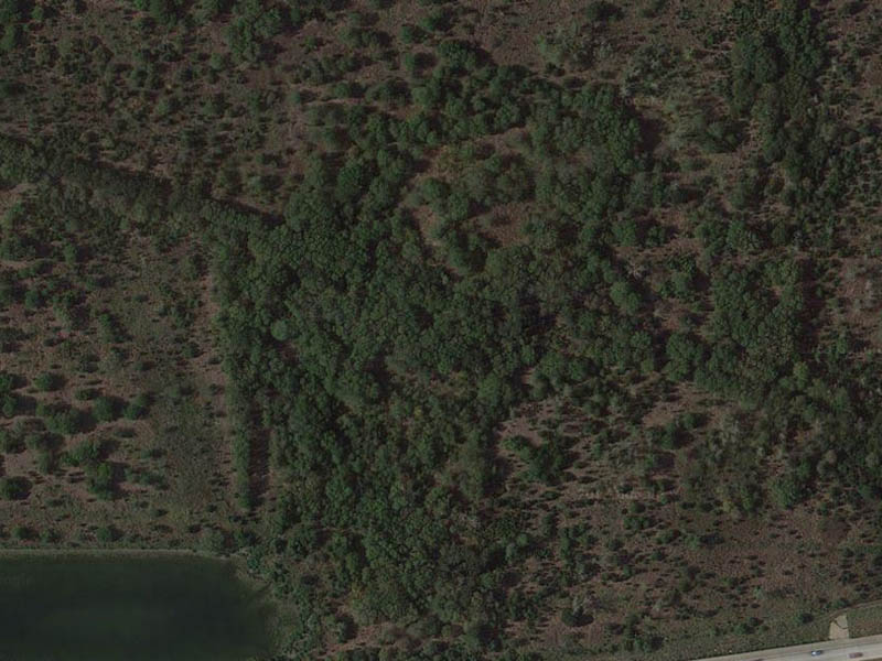 A diagonal double row of trees indicate the path of an old, no longer used country road.