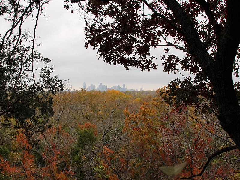 Journal - Great Trinity Forest Overlooks in Dallas, Texas