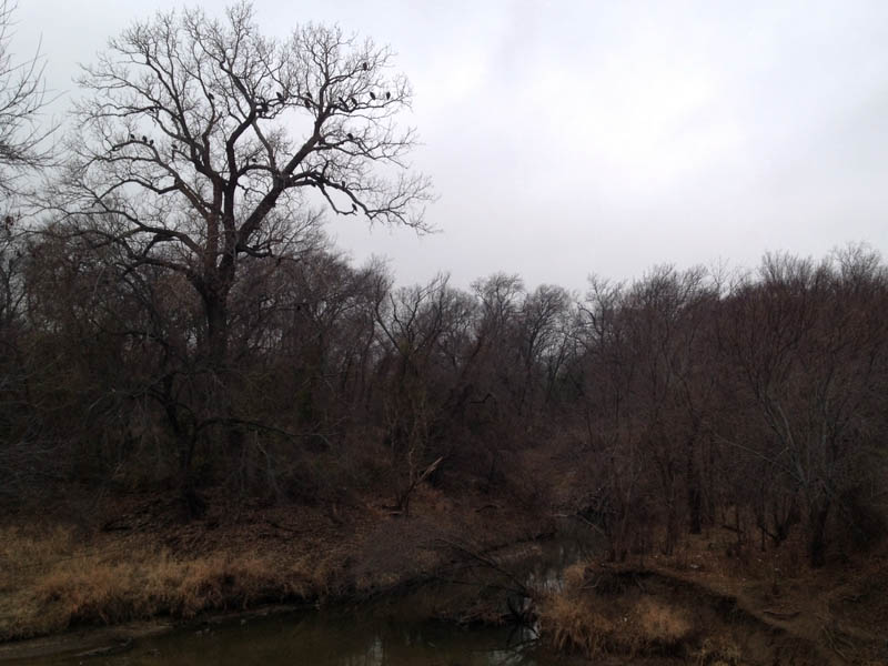 The mouth of Prairie Creek guarded by a roost of big black vultures.