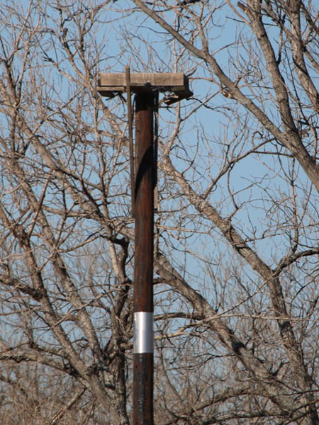 An Osprey nesting platform.