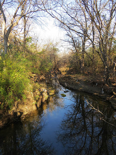 Meandering Prairie Creek.