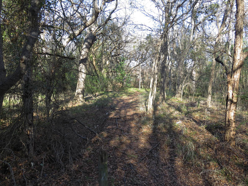 Soft surface trails near Prairie Creek.