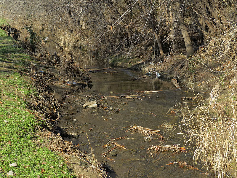 Rerouted Prairie Creek.