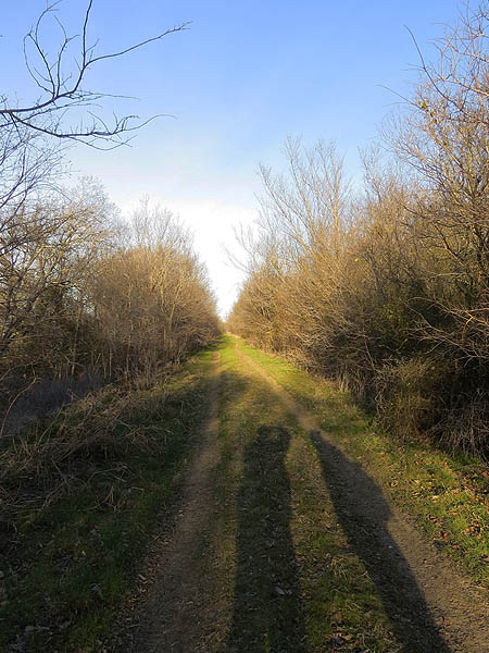 The levee trail.