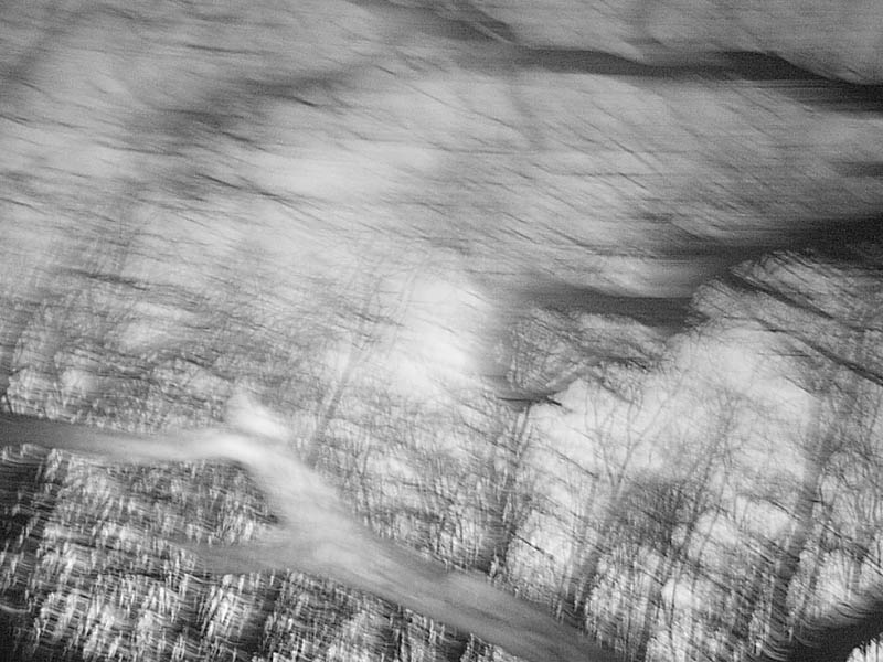 Motion blur induced by the Raccoon's efforts to reposition my camera.