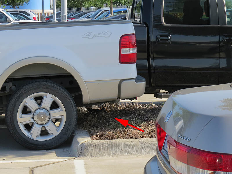 The parking lot reconfigures itself throughout the day as cars come and go.  Here a pickup truck has been parked with its bed extended over the nest.  It is unlikely that the driver even knew the nest was there.