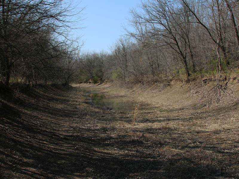 A mostly dry creek bed. 