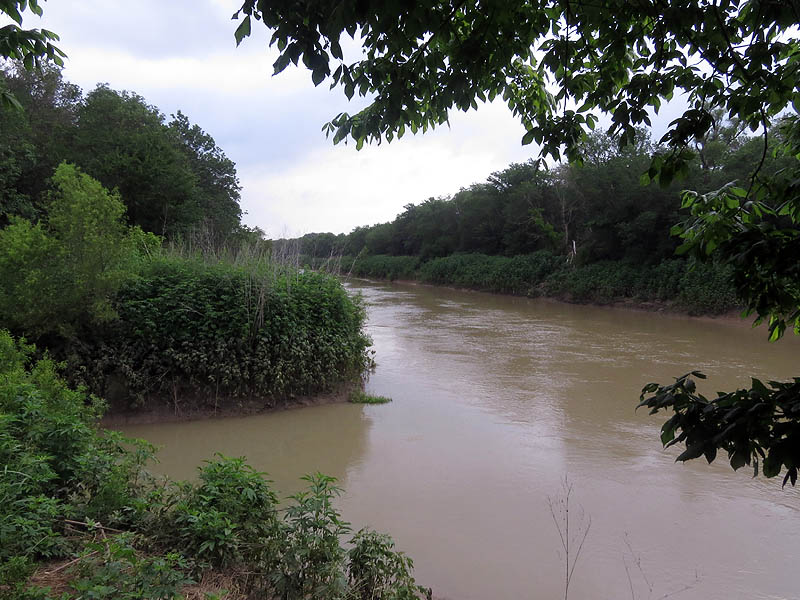 The confluence of Five Mile Creek and the Trinity River.