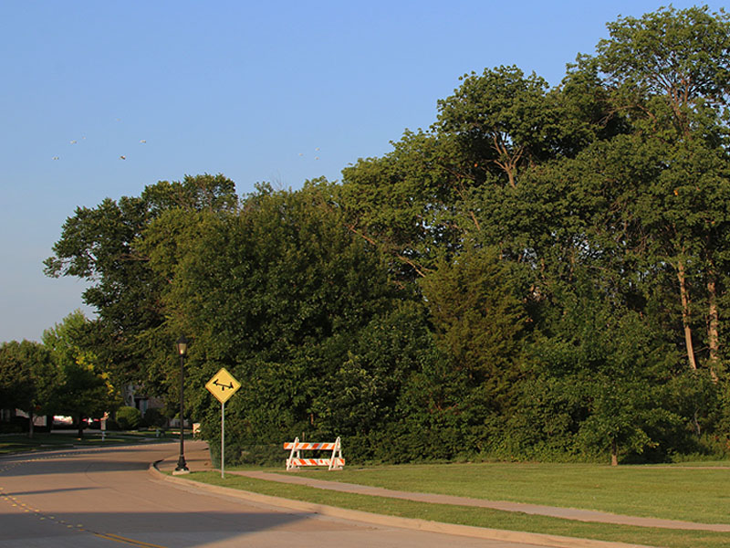 The approach to Stacy Ridge Park along Country Brook Ln.