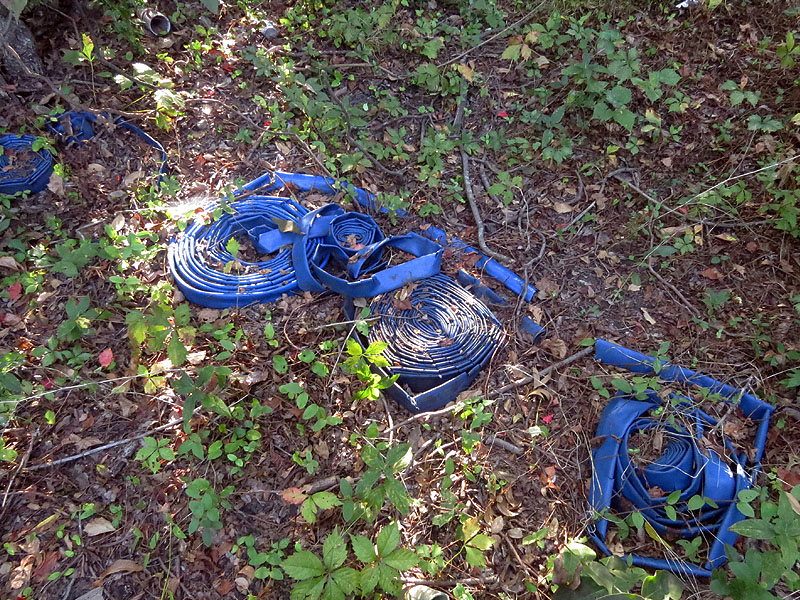 More hose was found in the clearing.