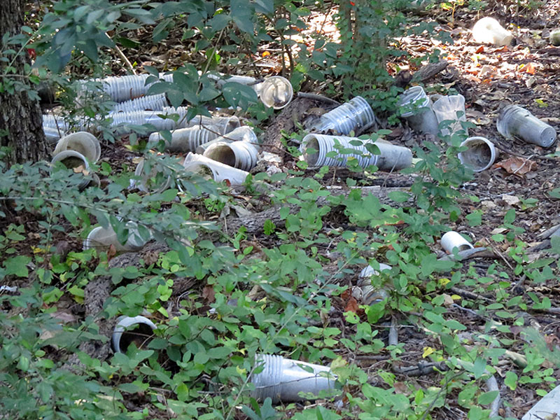 Dozens of solo cups littering the Bruton Bottoms.