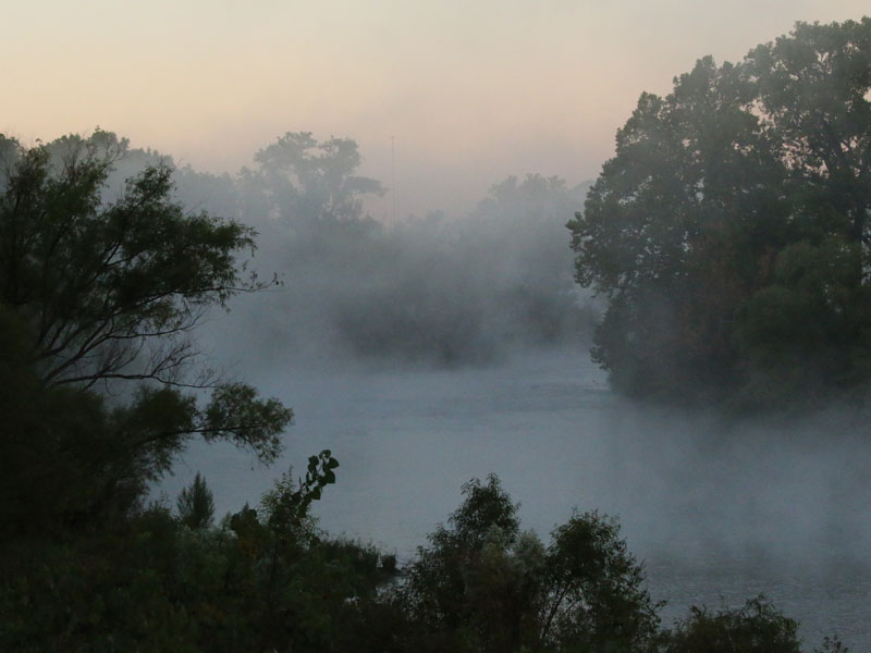 River fog atmospherics.