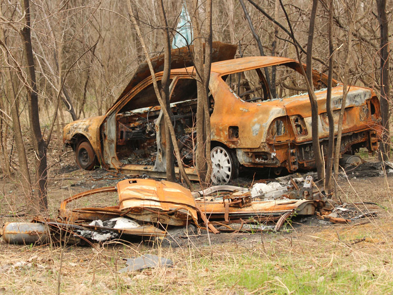 A stolen car burned to a crisp in the McCommas Bluff Preserve.