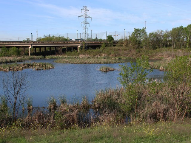 The marshy Basin looking south toward the Renner Road bridge.