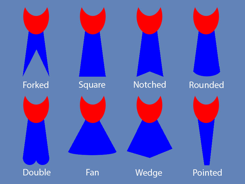 Typical Bird Tail Shapes
