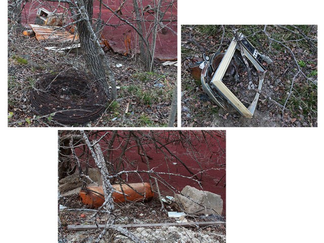 Discarded appliances and other garbage found around the perimeter of the pond.