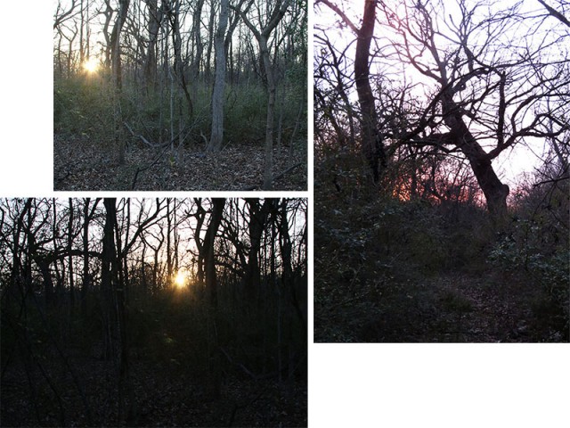 The sun sets on the Trinity River bottoms.