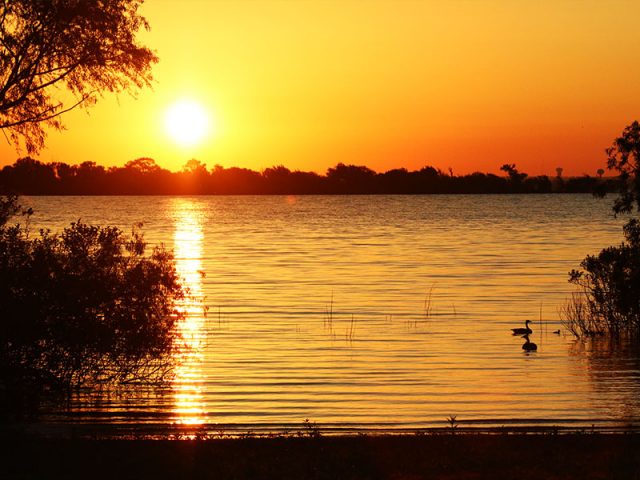 Sunrise over Lewisville Lake.  Canada Geese with goslings in shilouette.
