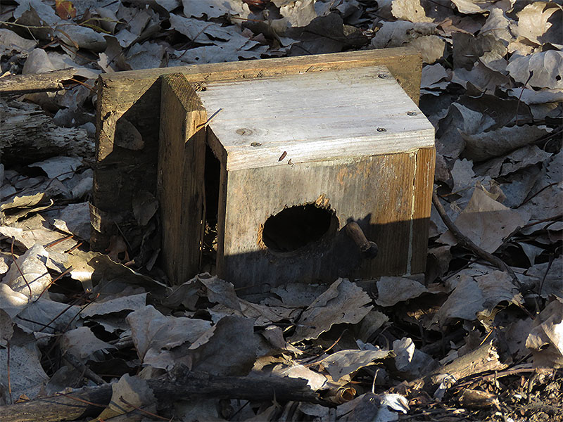 Bird boxes on the ground are of no use to people or animals.