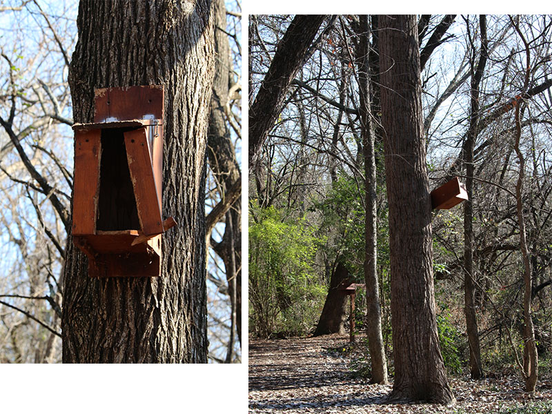 Nesting boxes in disrepair are eyesores in a natural environment.