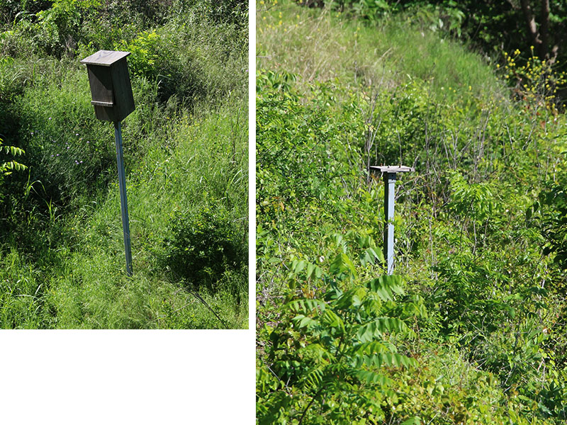 On the left, a bird box that is in decline.  The pole is leaning and the box is unsteadily mounted.  On the right, is a bare post with the nesting box missing.