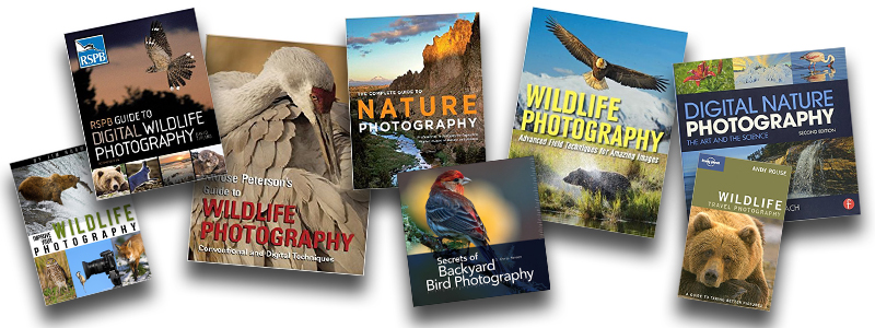 Beginner's Guide to Bird & Wildlife Photography [Book]